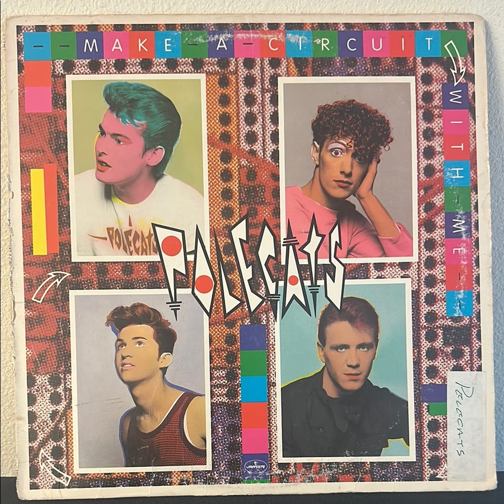 Polecats* - Make A Circuit With Me
(Vinyl Record)
